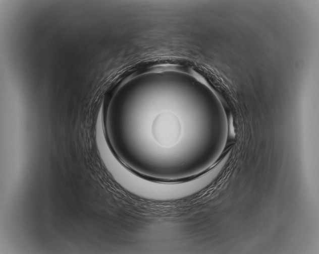 X0000116611157200912111128