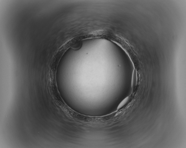 X0000116611158200912111128