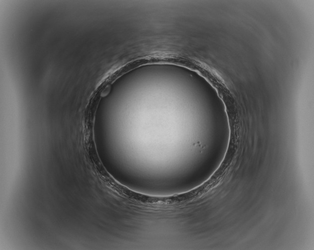 X0000116611160200912111128