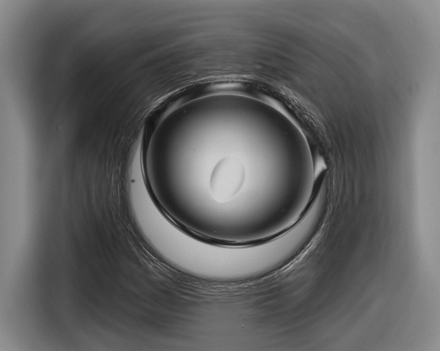 X0000116611161200912111128