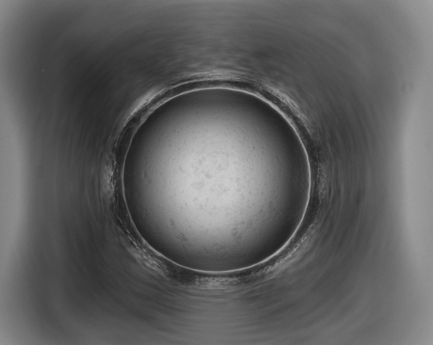 X0000116611163200912111128