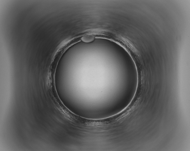 X0000116611164200912111128