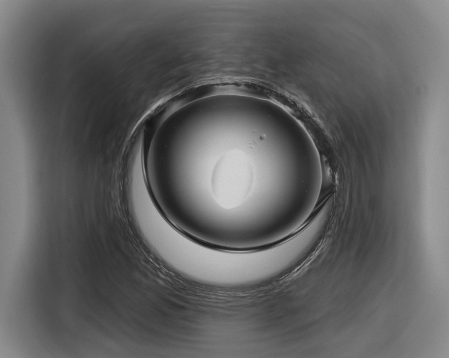X0000116611165200912111128