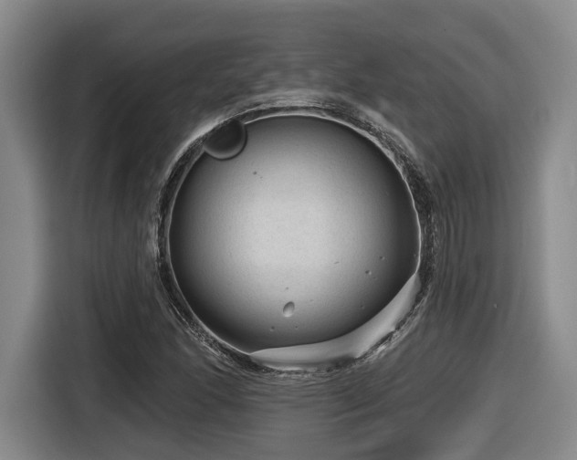 X0000116611166200912111128