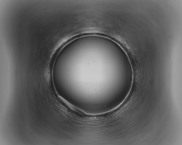 X0000116611167200912111128