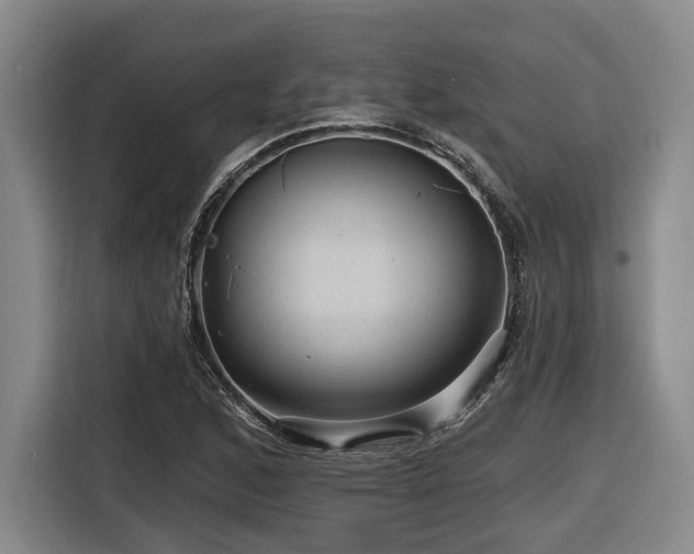 X0000116611168200912111128