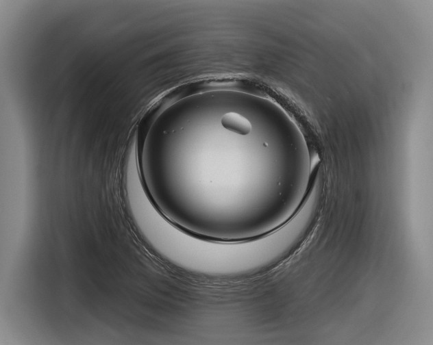 X0000116611169200912111128