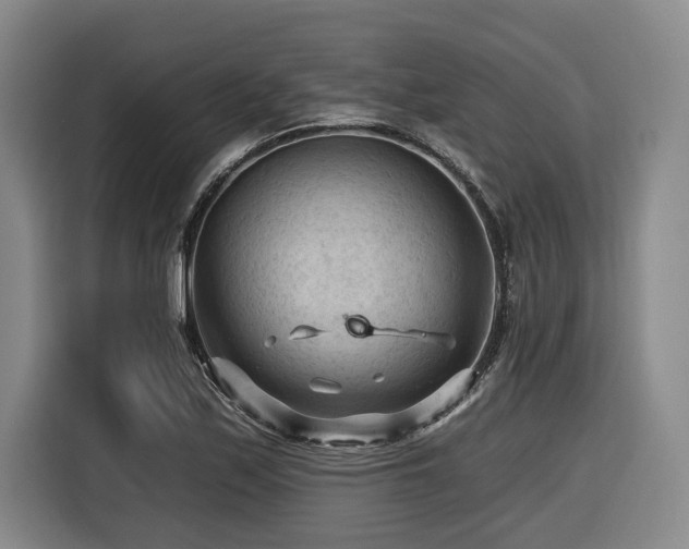 X0000116611171200912111128