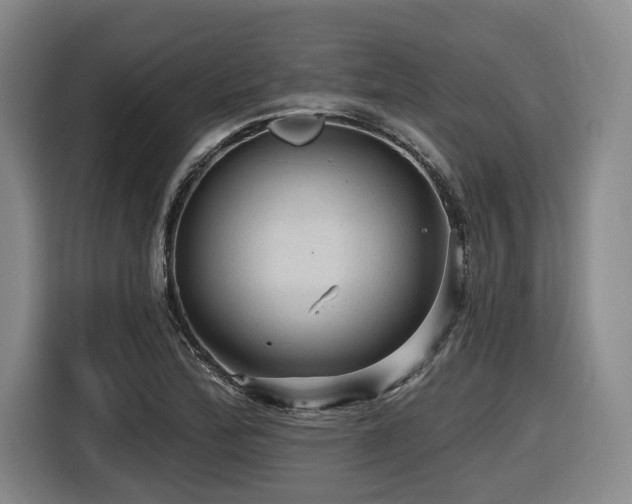 X0000116611172200912111128