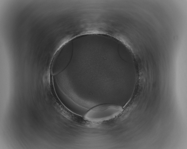 X0000116611173200912111128