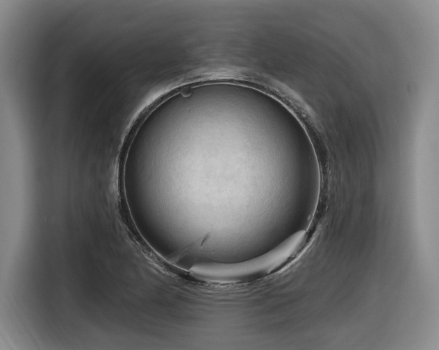 X0000116611174200912111128