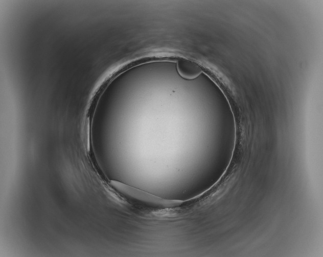 X0000116611175200912111128
