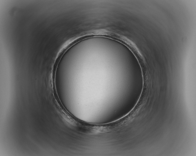 X0000116611176200912111128