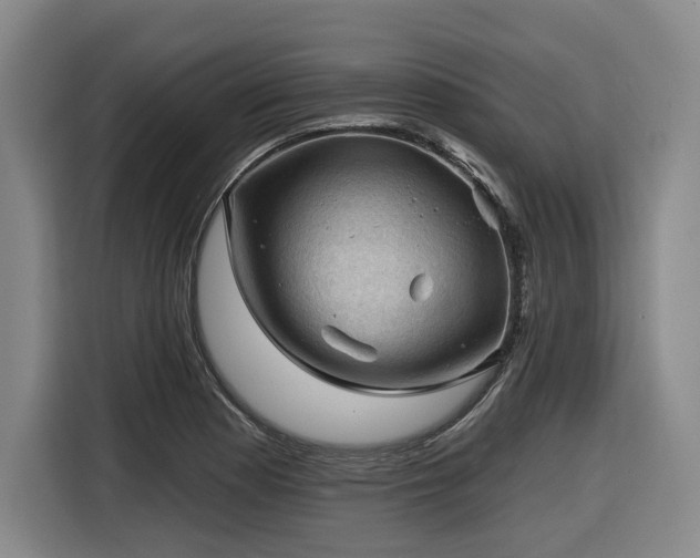 X0000116611177200912111128