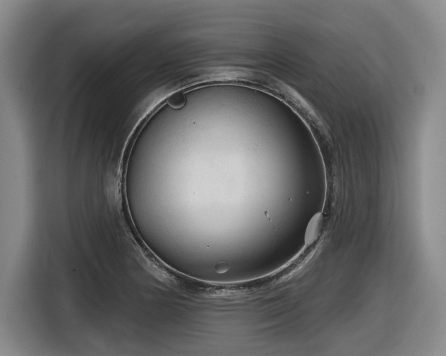 X0000116611178200912111128