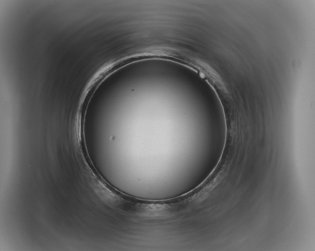X0000116611180200912111128