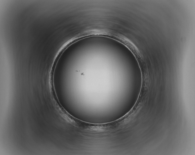 X0000116611182200912111128