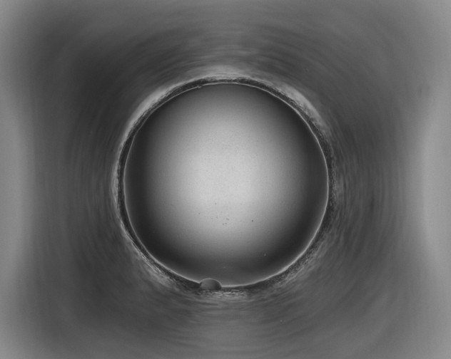 X0000116611183200912111128