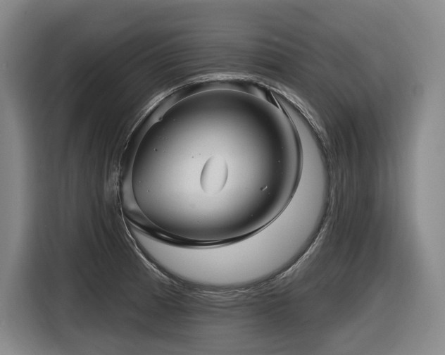 X0000116611185200912111128