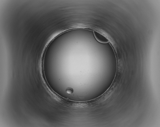X0000116611187200912111128