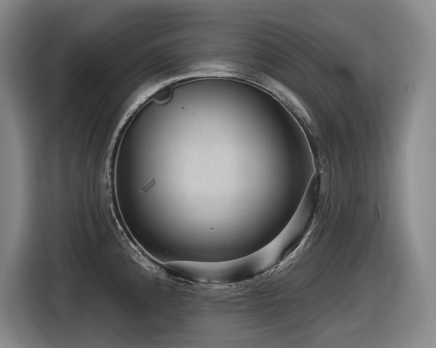 X0000116611192200912111128