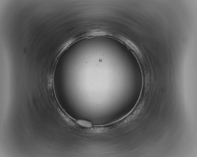 X0000116611193200912111128