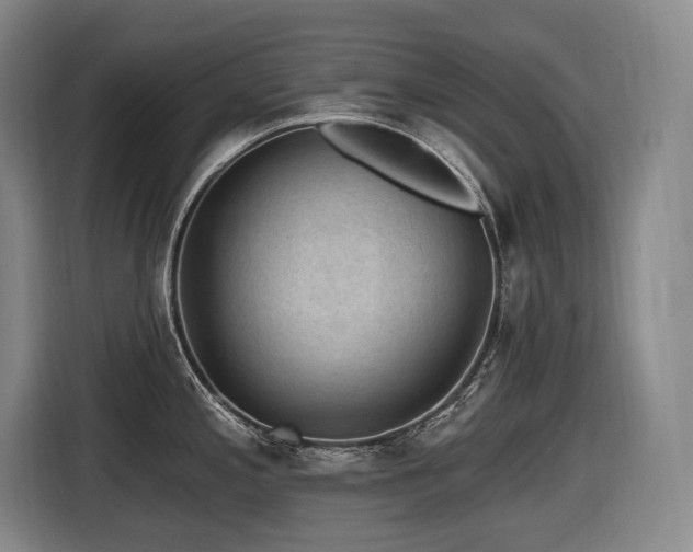 X0000116611197200912111128