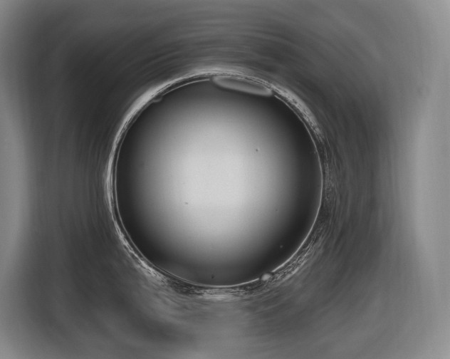 X0000116611199200912111128
