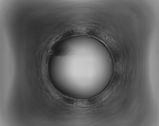 X0000116611201200912111127
