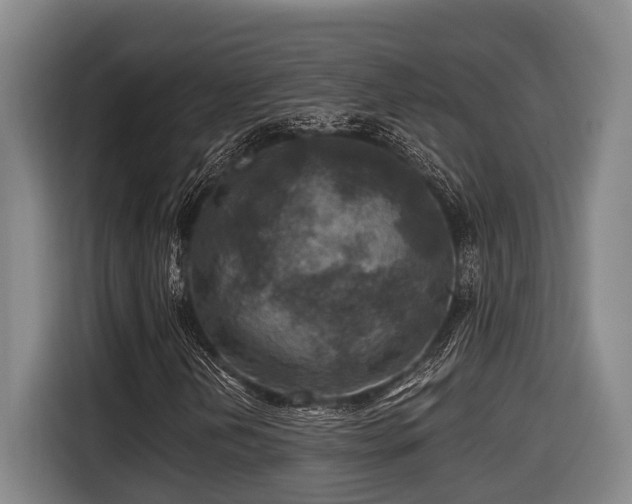 X0000116611202200912111127