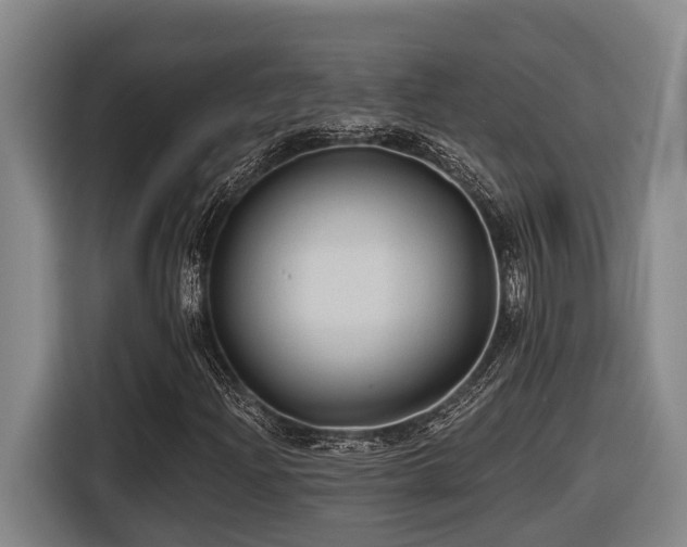 X0000116611204200912111127