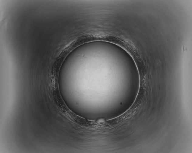 X0000116611205200912111127