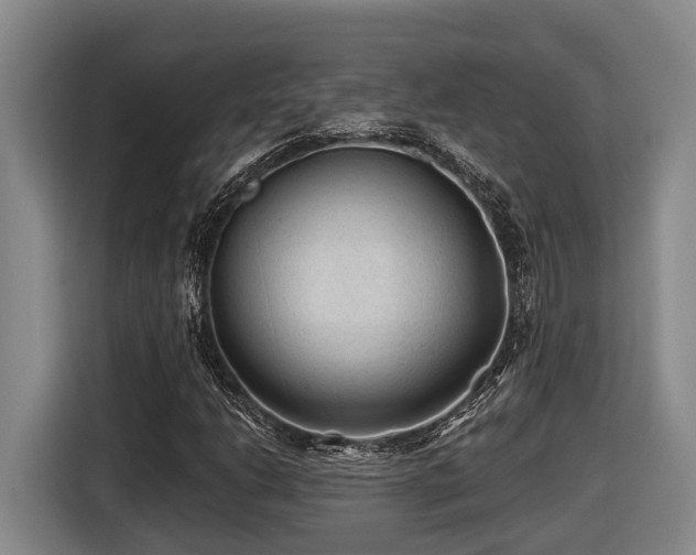 X0000116611206200912111127