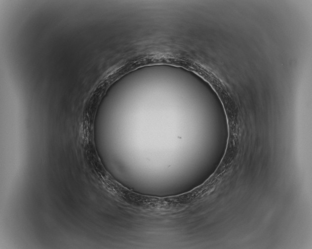 X0000116611207200912111127