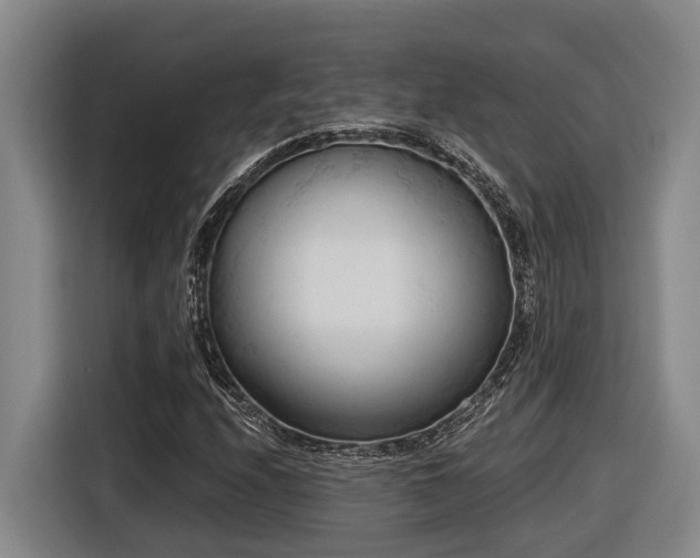 X0000116611208200912111127