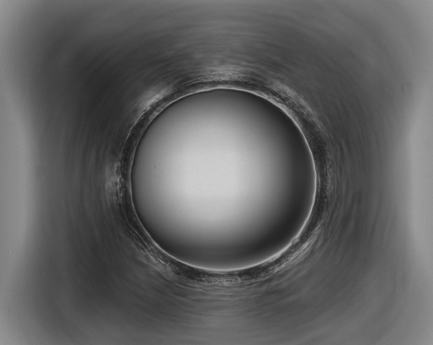 X0000116611210200912111127
