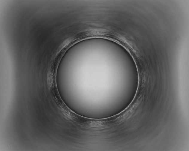 X0000116611211200912111127