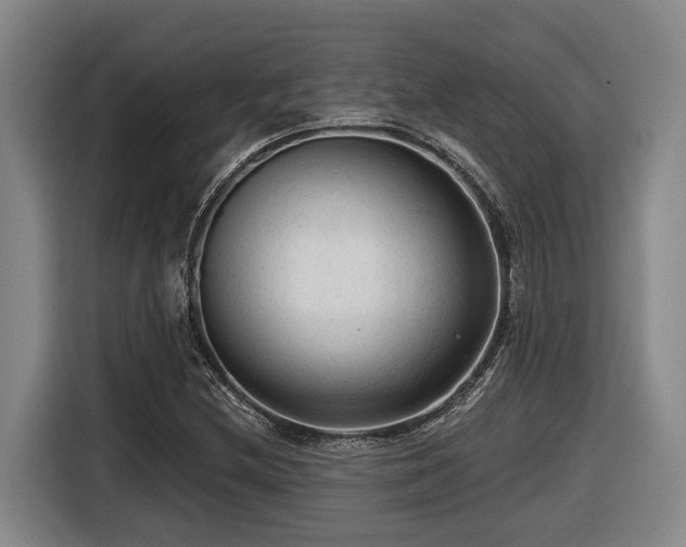 X0000116611212200912111127