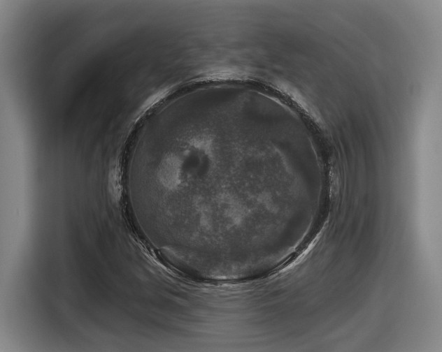 X0000116611213200912111127