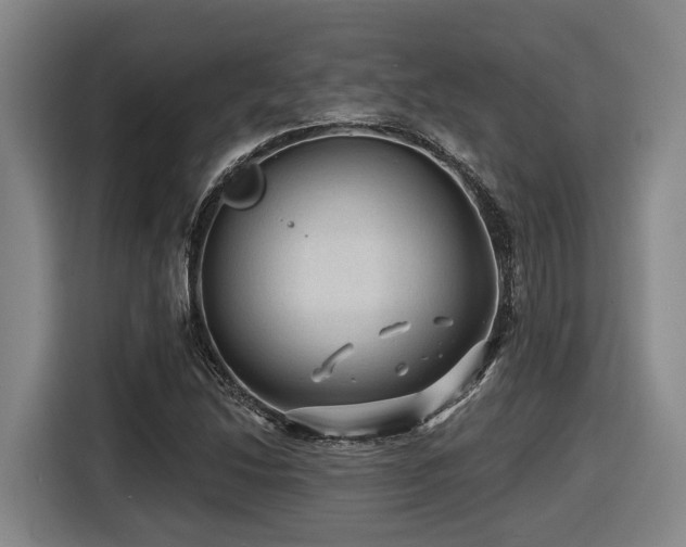 X0000116611214200912111127