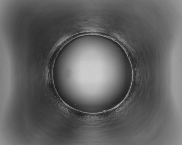 X0000116611215200912111127