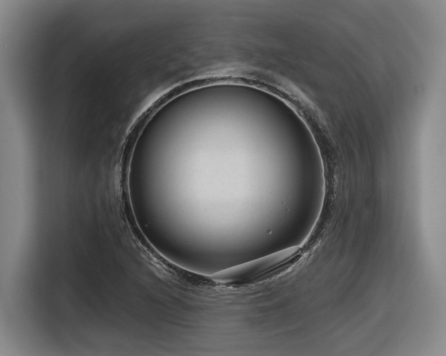 X0000116611216200912111127