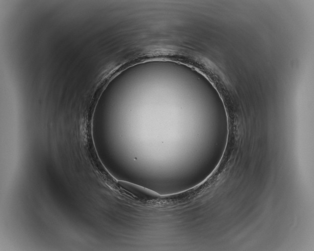 X0000116611217200912111127