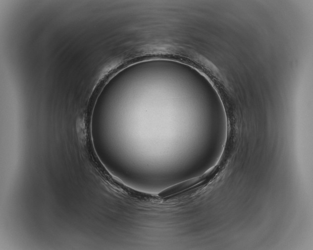 X0000116611218200912111127