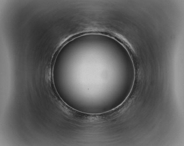 X0000116611220200912111127