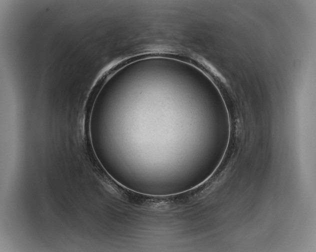 X0000116611222200912111127