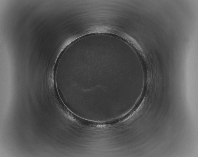 X0000116611226200912111127