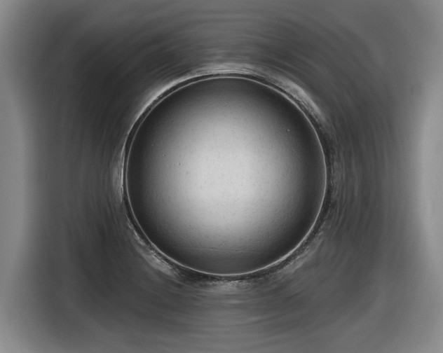 X0000116611228200912111127