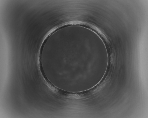 X0000116611229200912111127