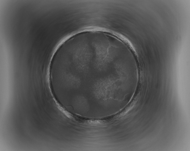 X0000116611231200912111127